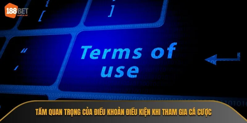 Điều khoản điều kiện bảo vệ quyền lợi của người chơi và nhà cái