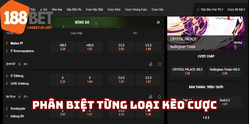 Phân biệt từng loại hình vào tiền