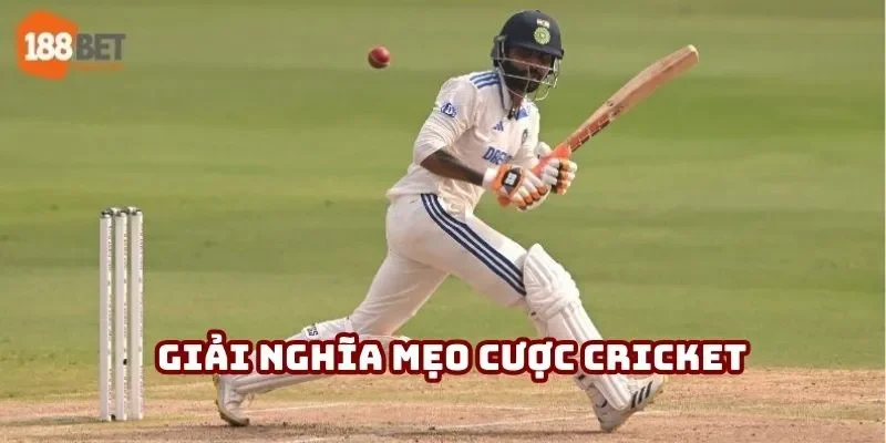 Giải nghĩa mẹo cược Cricket