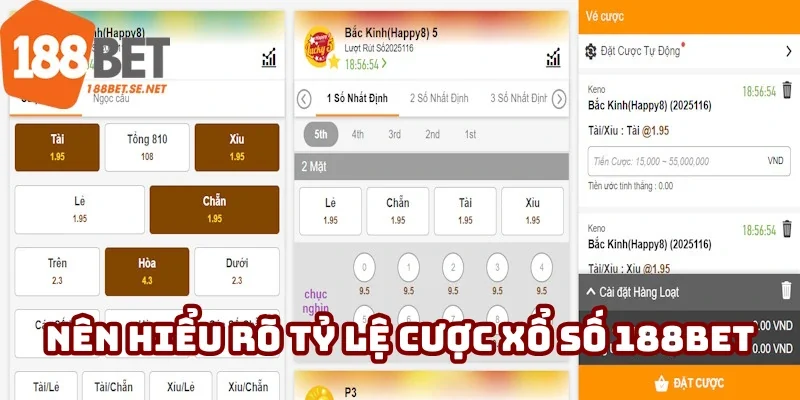 Thành viên nên hiểu rõ các tỷ lệ cá cược